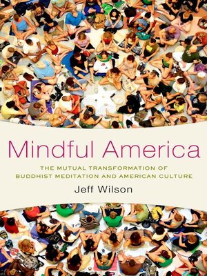 cover image of Mindful America